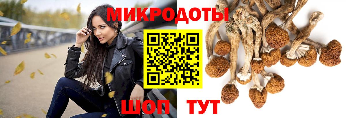 Псилоцибиновые грибы прущие грибы  Вход с VPN  Вольск 