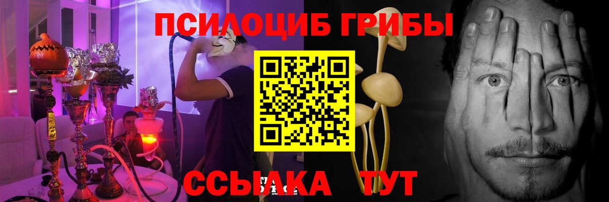 Галлюциногенные грибы Psilocybe Вольск
